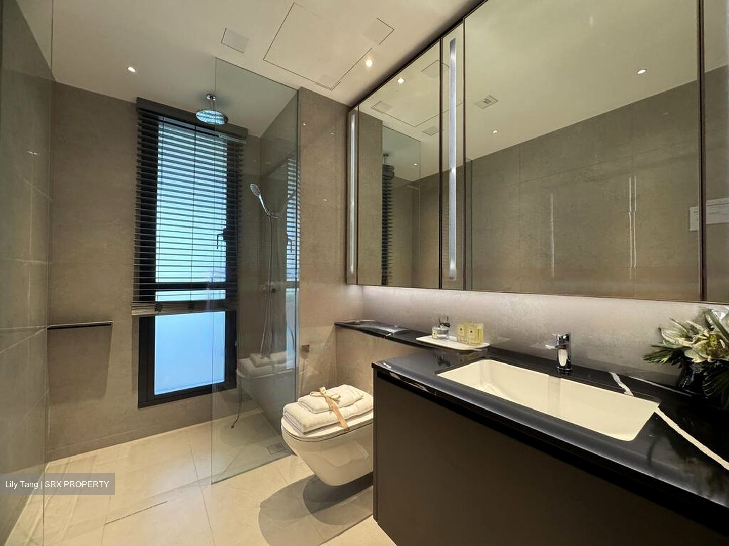 Marina Gardens Lane (D1), Apartment #463605741